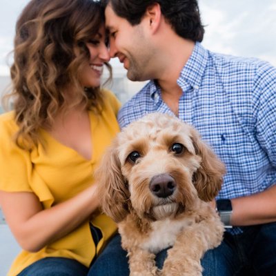 Engagement Photos with Dogs Pittsburgh