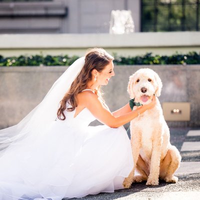 Bride with Dog Wedding Photo Pittsburgh