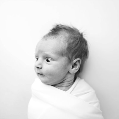 Beaver County Newborn Photography