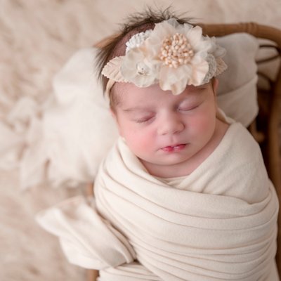 Upper St Clair Newborn Photographer