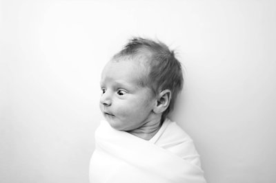 Beaver County Newborn Photography