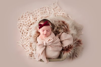 Castle Shannon Newborn Photographer Pittsburgh