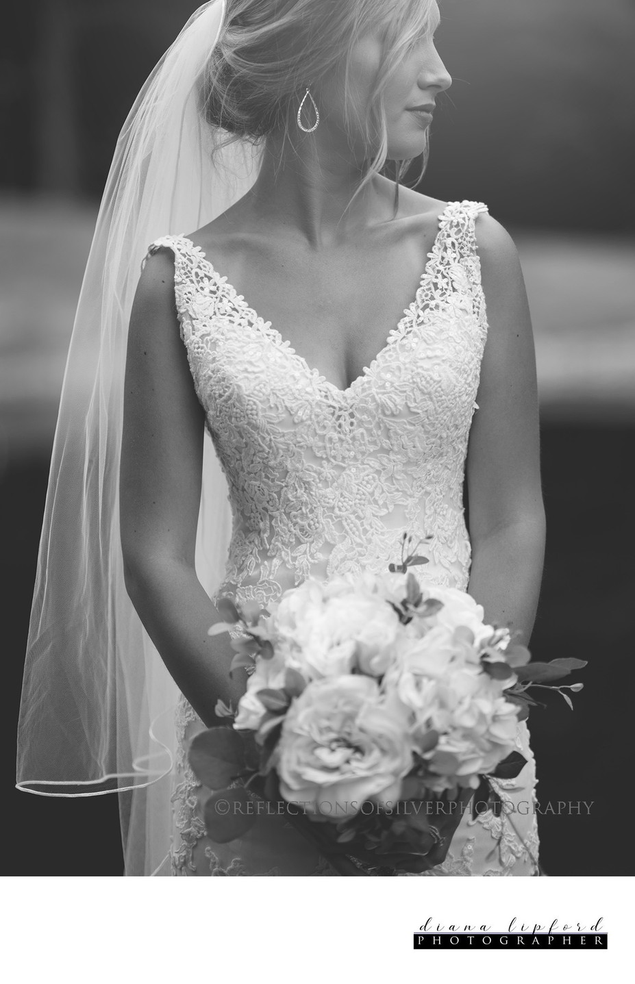 Bridal Photos Wedding Photographer Fort Wayne
