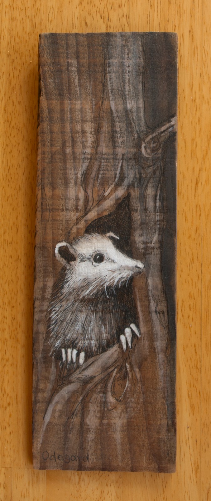 Opossum on Wood
