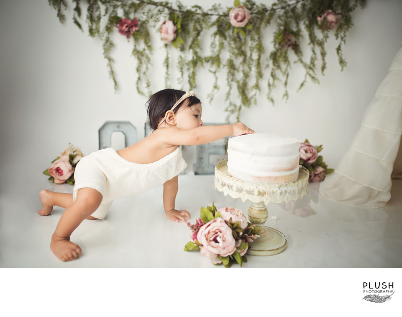 Plush photography one year milestone photo session_cake