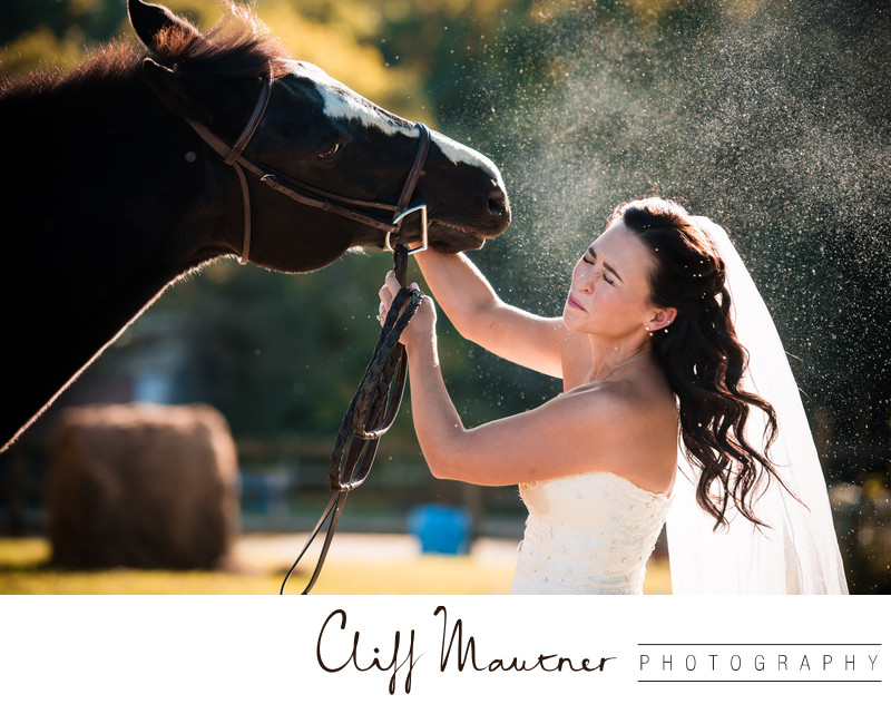 Bridal shoot with Horse Moorestown NJ Wedding