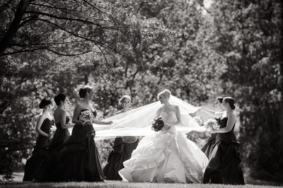 Bridal Party at Ashford Estate Wedding