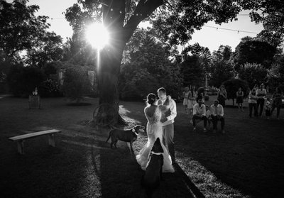 Backyard Wedding Photographer