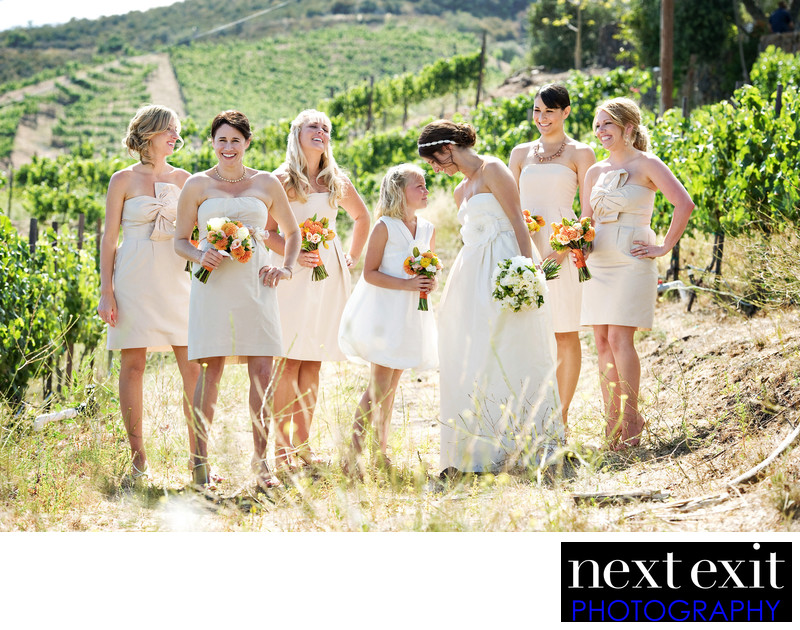 Cau Le Dome Saddlerock Ranch Wedding Photography Next Exit Cau Le Dome Saddlerock Ranch Wedding Photography