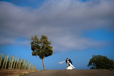 Catalina View Gardens Wedding Photographer - Los Angeles Wedding, Mitzvah & Portrait Photographer - Next Exit Photography