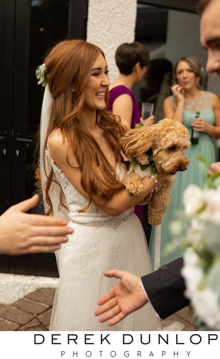 Bride and wedding dog cuddle Brig o Doon