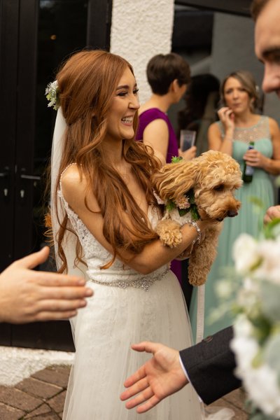 Bride and wedding dog cuddle Brig o Doon