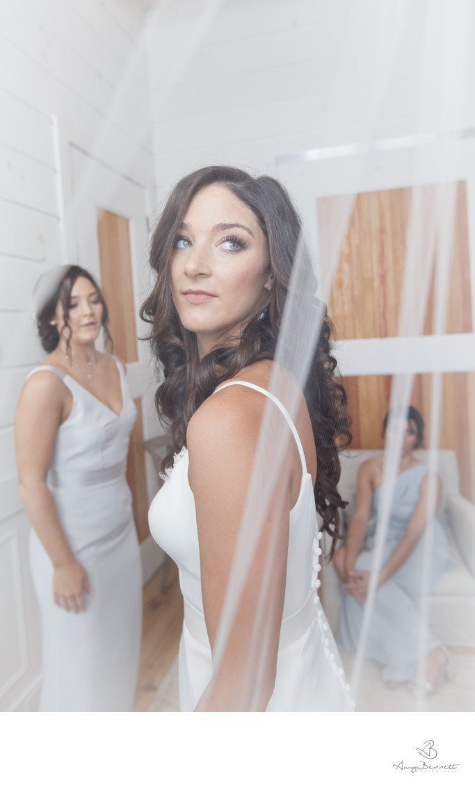Through the Veil Bridal Portrait