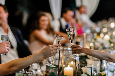 Champagne Toast Wedding Photography
