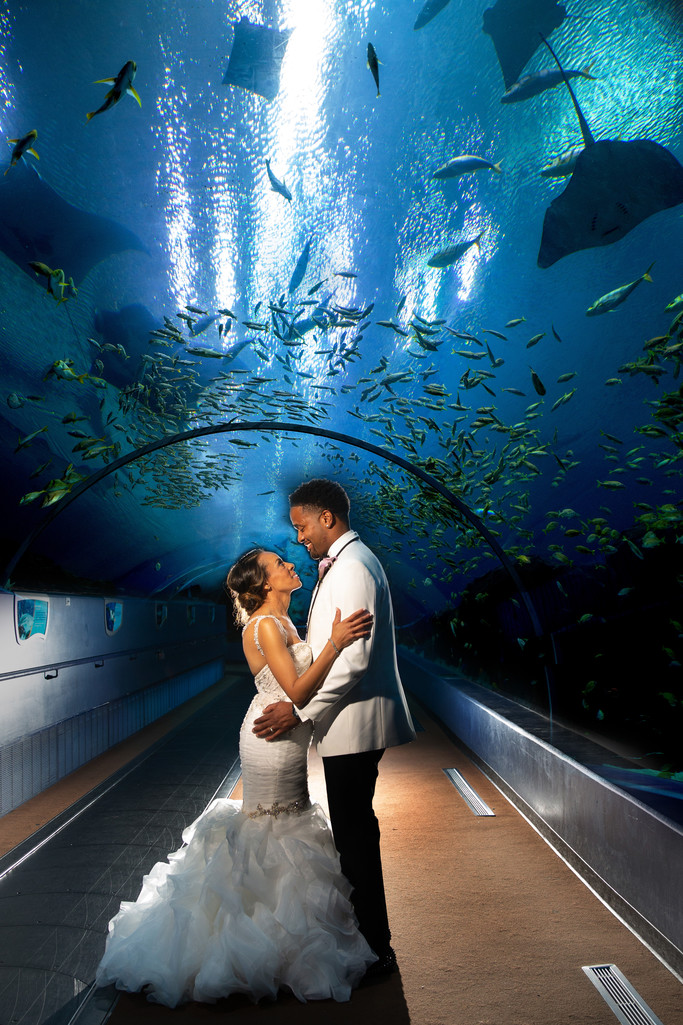 Atlanta Aquarium Wedding Photography Weddings