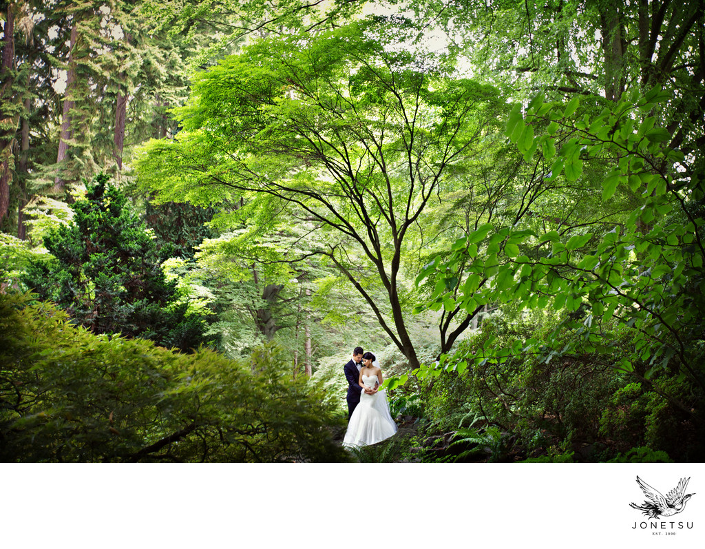 Stanley Park wedding photo in the trees
