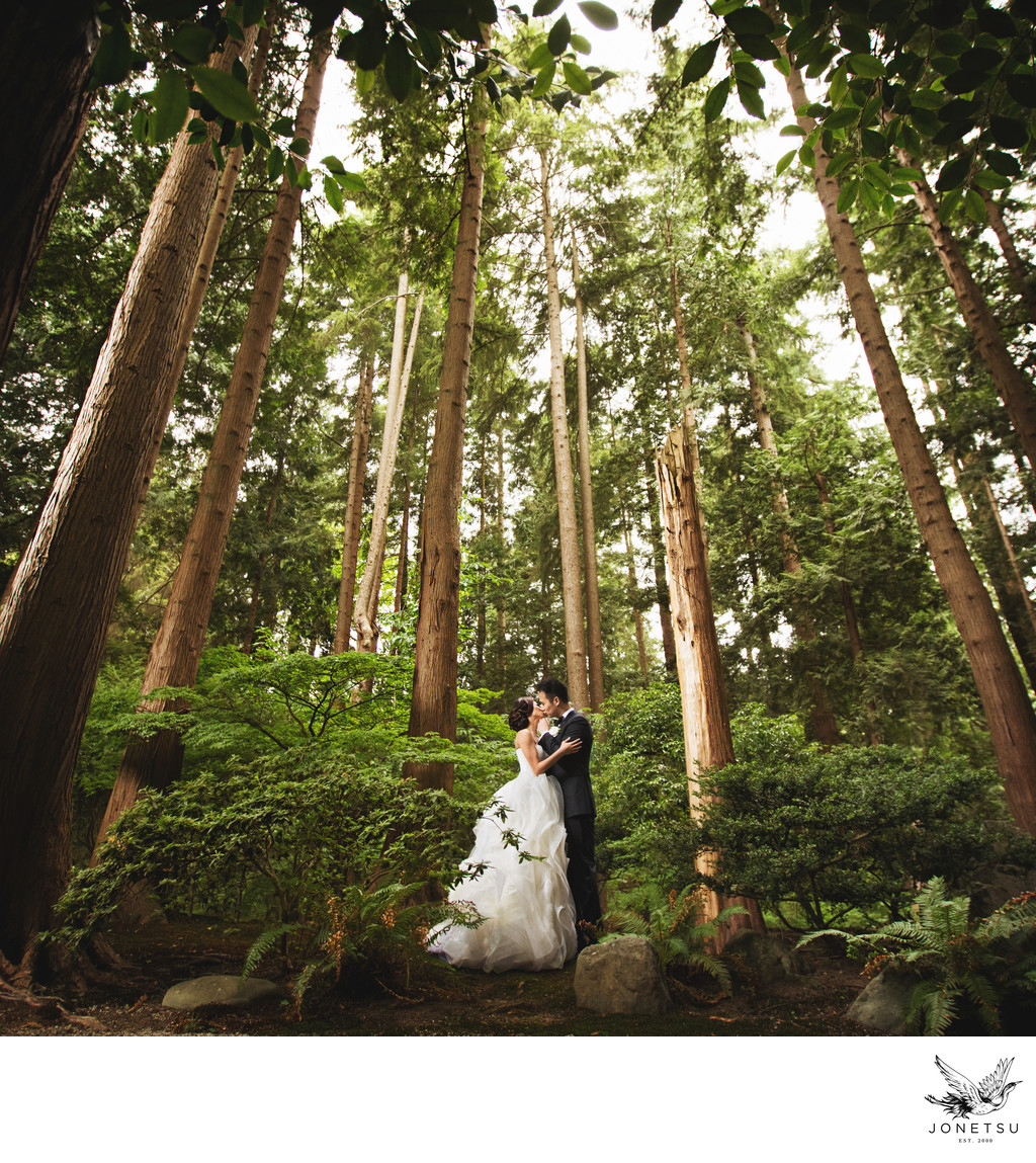 Vancouver forest wedding portrait Vera Wang