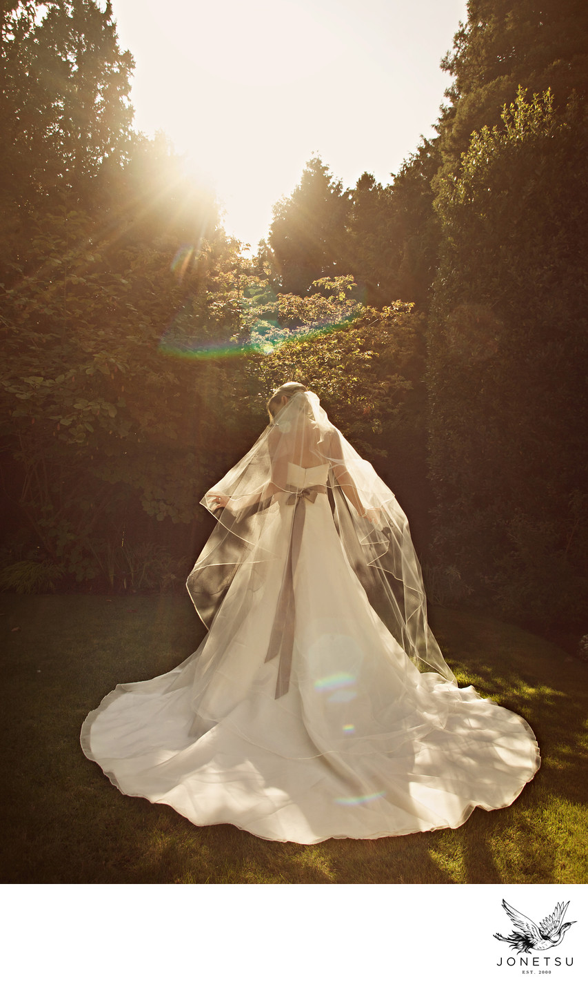 Vera Wang bridal portrait with veil backlit Vancouver