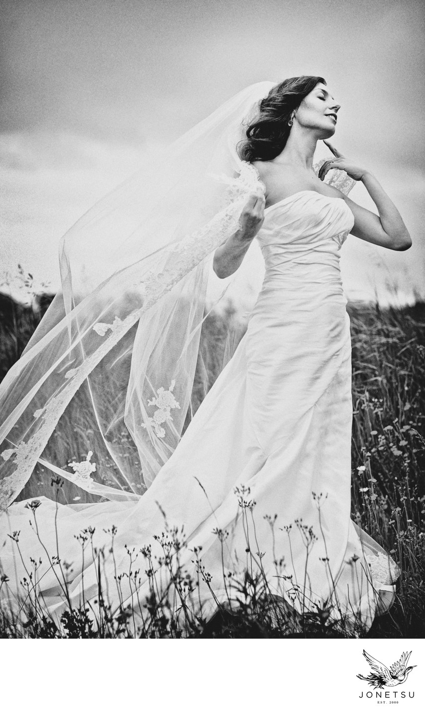 Bridal portrait with wind in her veil Thunder Bay field