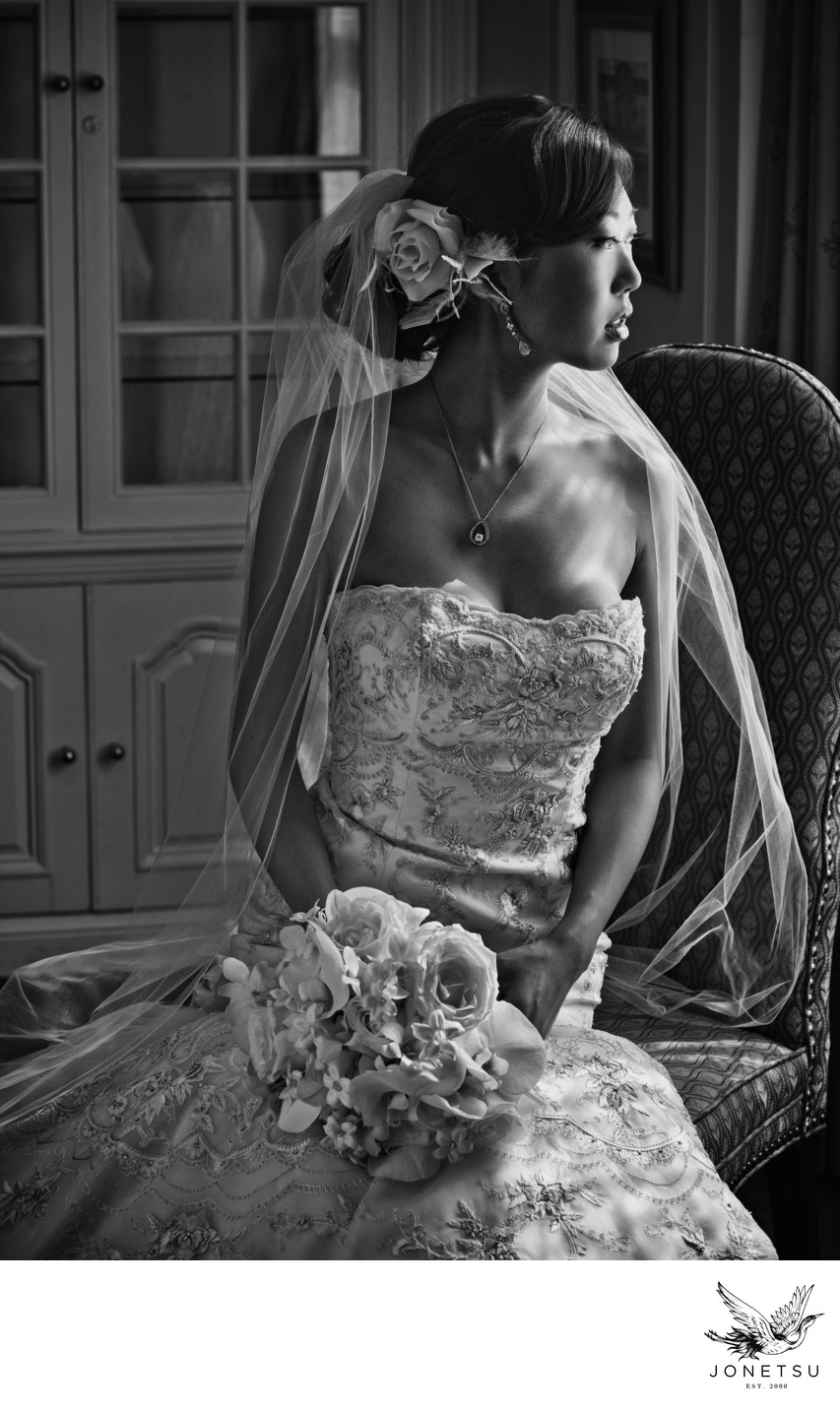 Classic luxury bridal portrait in window light