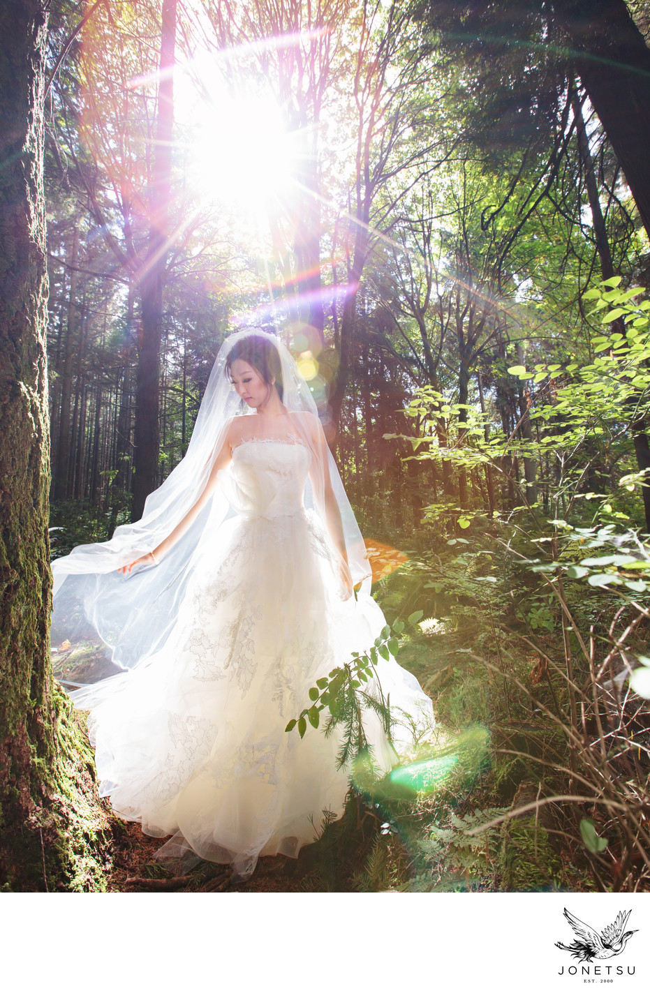 Vancouver bride portrait Vera Wang Stanley Park forest