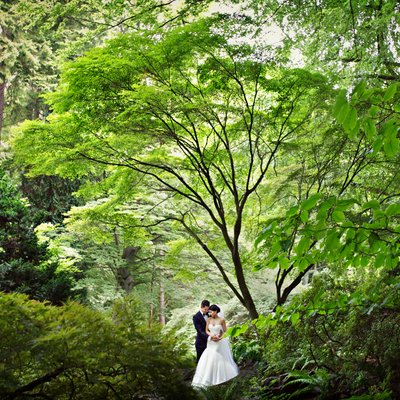 Stanley Park wedding photo in the trees