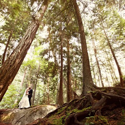 Wedding portrait in the forest at Lighthouse Park