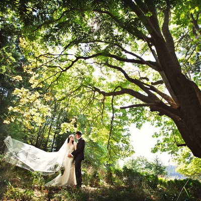 Wedding portrait Pender Island under giant tree