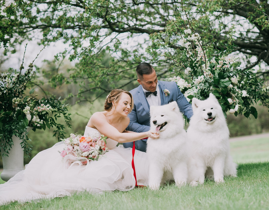 Mowfield Wedding Photos with Dogs