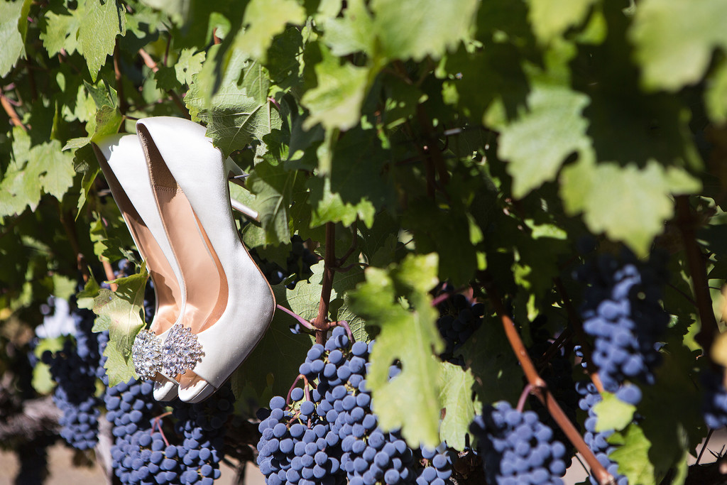 Wedding Shoes on a Grapevine