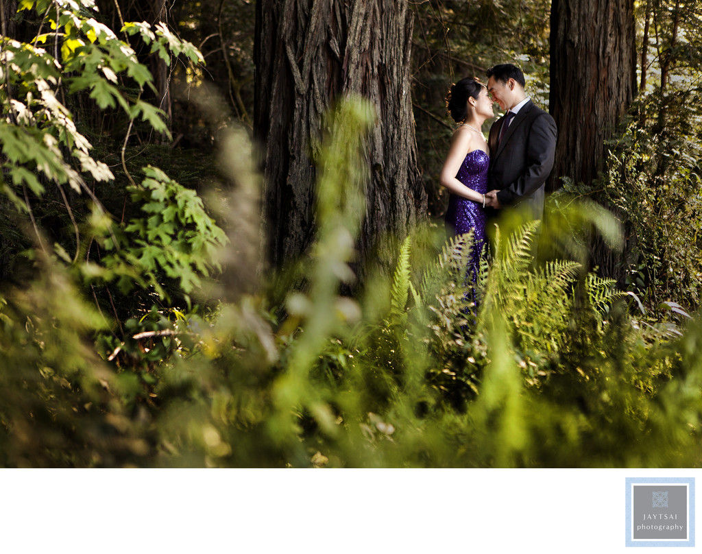 Forest Engagement Photographer SF Bay Area