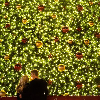 Christmas Tree Engagement Photographer San Francisco