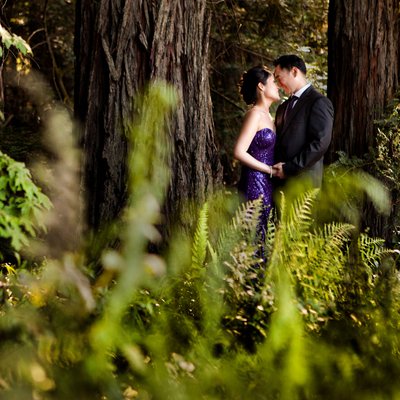 Forest Engagement Photographer SF Bay Area