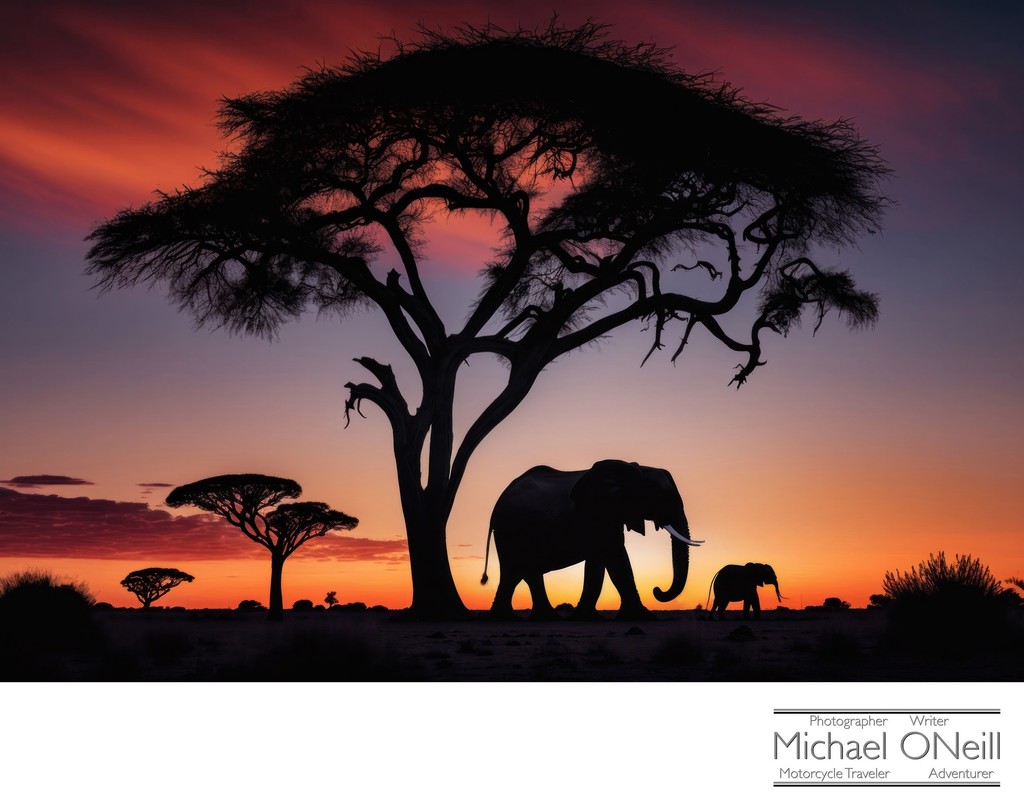 Image Of A Mother Elephant And Her Baby Against The African Sunset