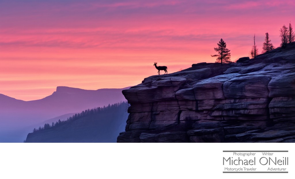 Lone Buck Deer In Silhouette On Cliff At Sunset