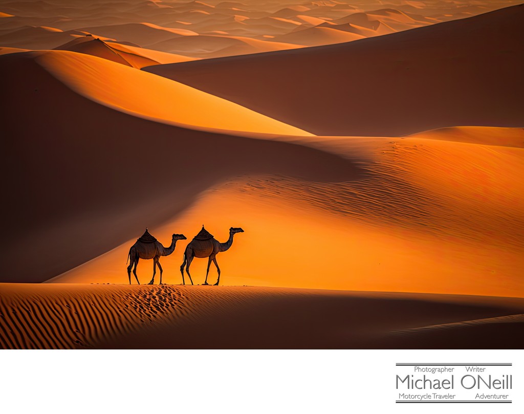 Sahara Sunset • Two Camels In Silhouette Against The Sand Dunes