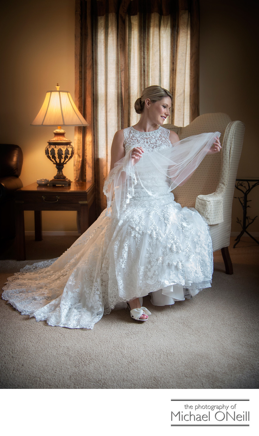 Great Wedding Gown and Bridal Veil Photographs