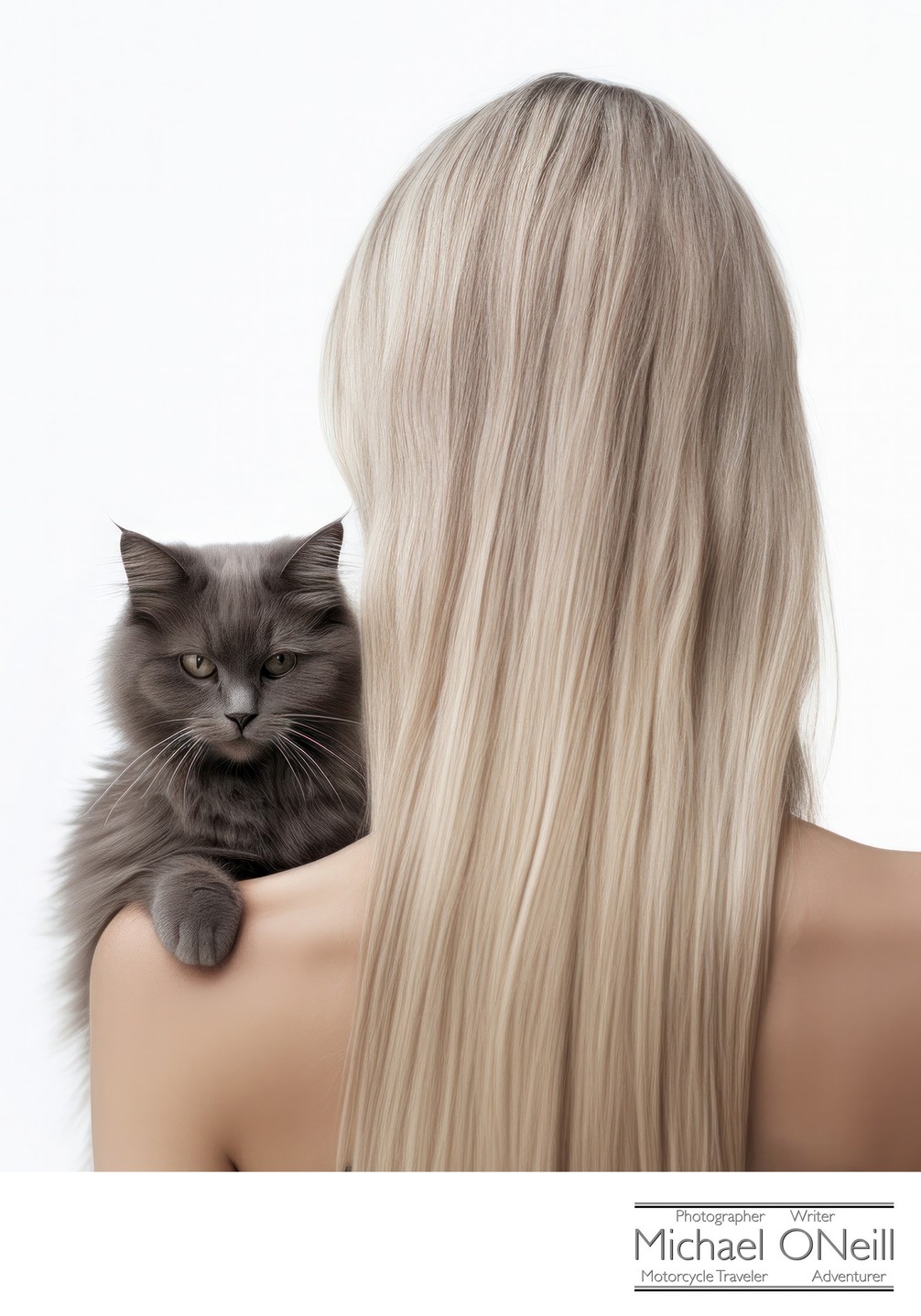 Striking Portrait Of A Maine Coon Cat On The Shoulder Of Its Human