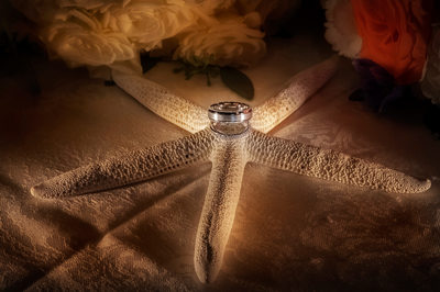 Wedding Rings Starfish Theme Detail Photograph LI