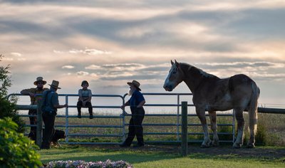Amish Farmers 3 Generations Professional Travel Adventure Photographer