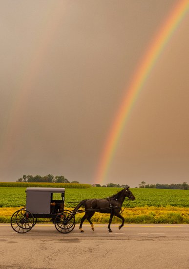 Amish Lifestyle Photographer Buggy and Rainbow Pennsylvania Dutch Region