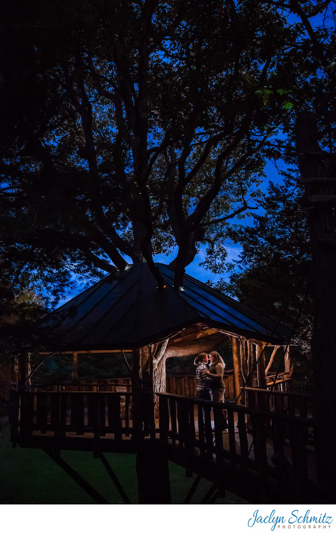 Oakledge Park Tree House Engagement Session