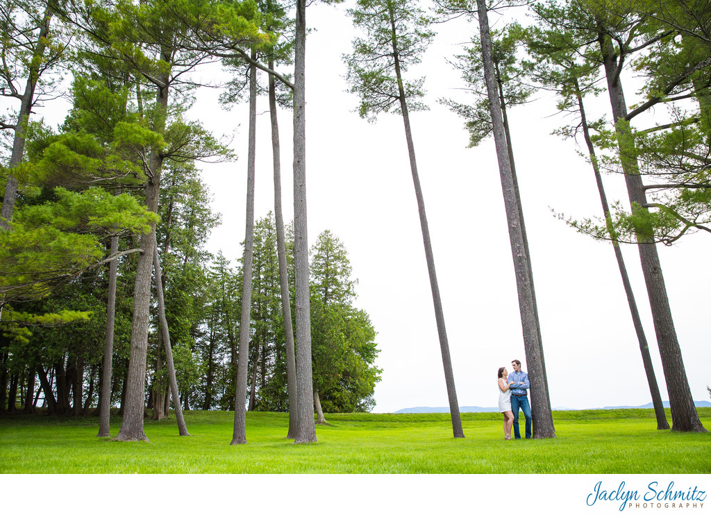 Pine Trees Engagement Session