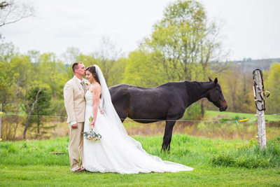 Horse wedding photos VT