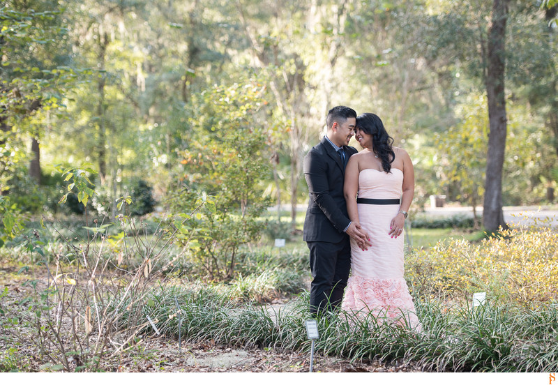 With Pink Long Dress For Engagement Pictures With Pink Long Dress For Engagement Pictures