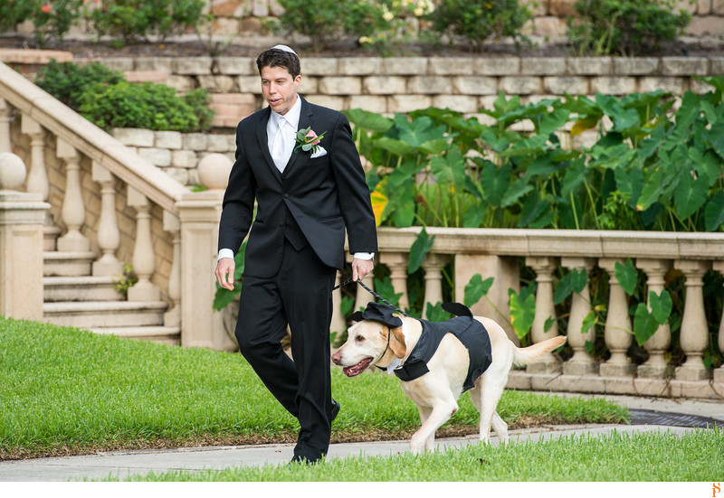 Groom and his bestman, his dog