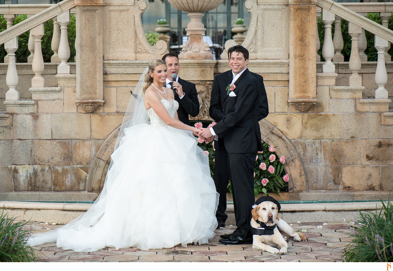 Ceremony with a dog, his hat and his tuxedo
