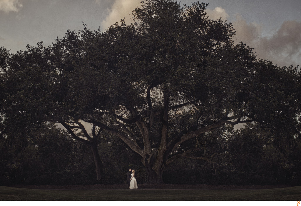 Bride and Groom under a tree on their wedding day at St Johns Country Club