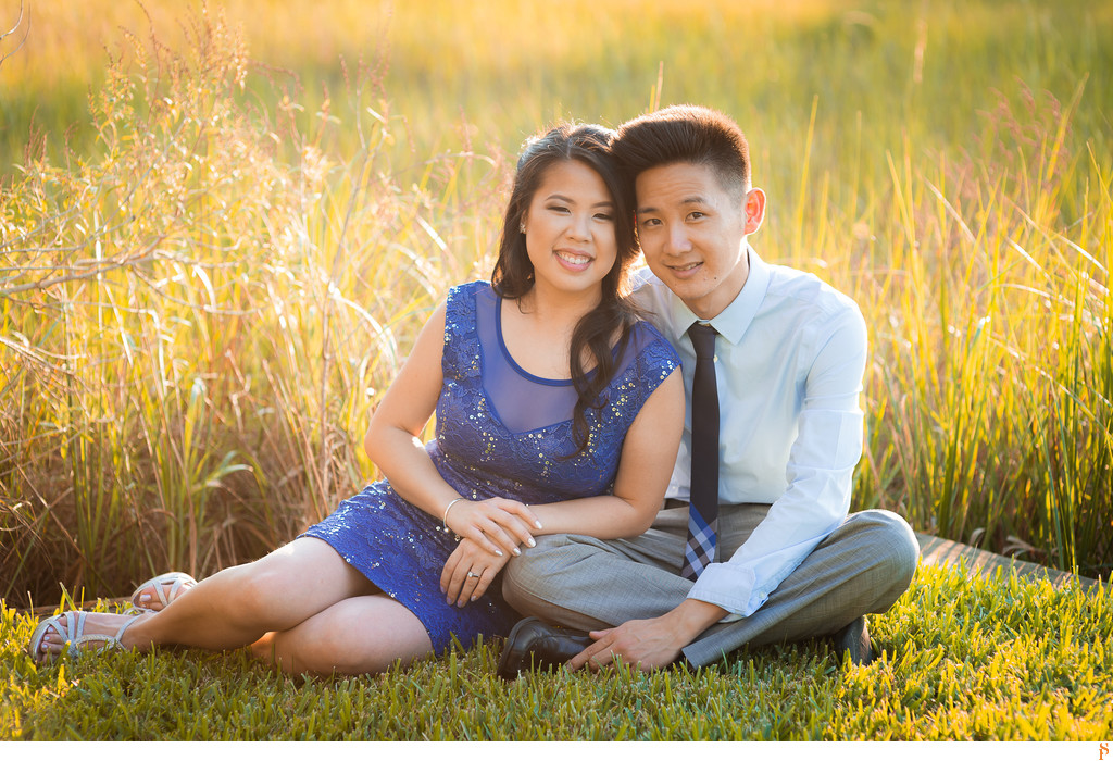 ENGAGEMENT PHOTO BY A FIELD WITH A GORGEOUS BLUE DRESS