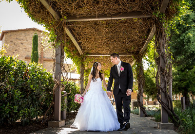 St Thomas More Catholic Parish Photographer
